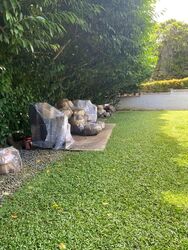 Turf Club Road (D11), Detached #568732291